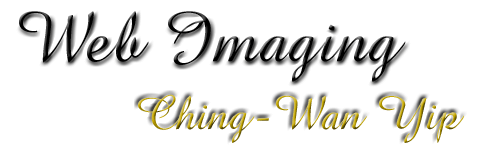 Web Imaging Ching-Wan Yip