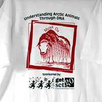musk ox on t-shirt